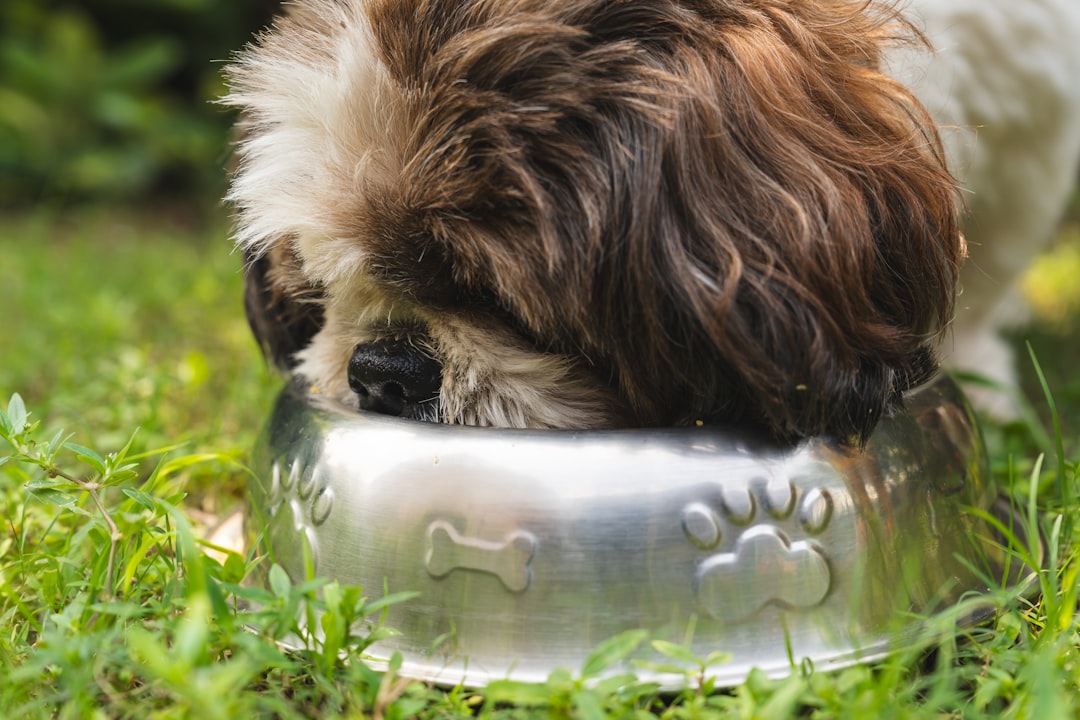 Understanding Dog Food Nutrition Labels: A Complete Guide Extra 16